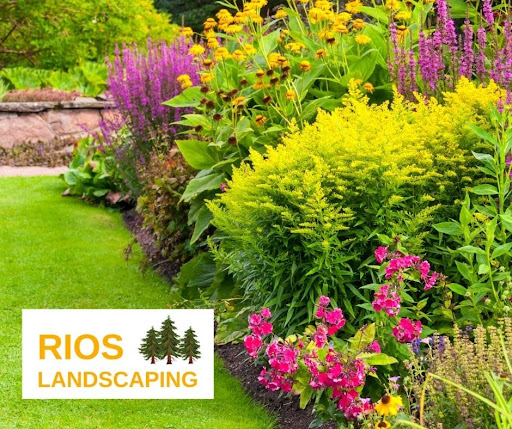 Quality 7 reliable landscaping services.