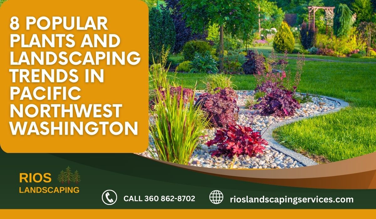 8 Popular Plants and Landscaping Trends in Pacific Northwest Washington