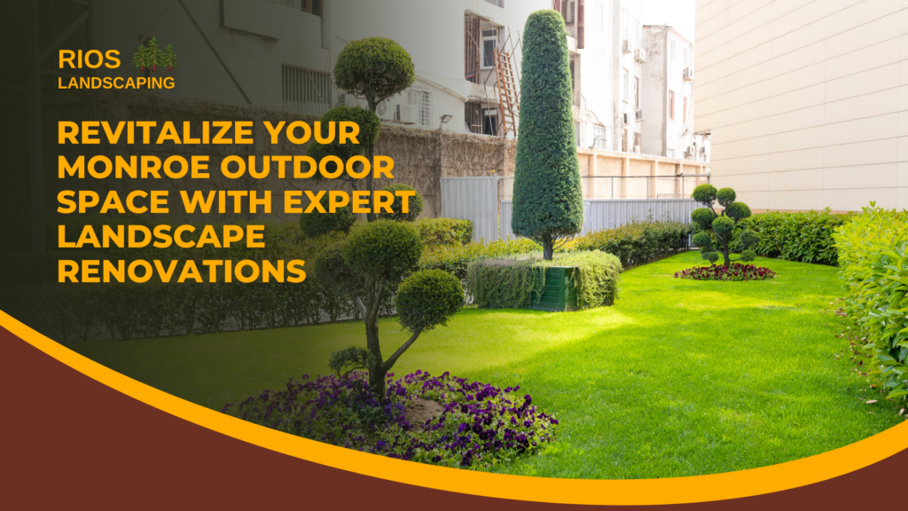 Revitalize Your Monroe Outdoor Space with Expert Landscape Renovations
