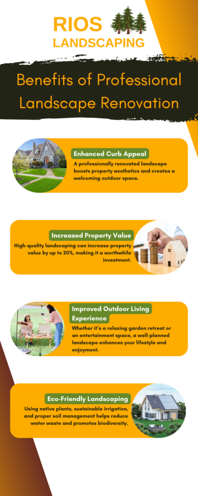 The Benefits of Professional Landscape Renovation